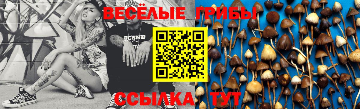 Егорьевск  хочу наркоту  Галлюциногенные грибы GOLDEN TEACHER  Вход с VPN  Галлюциногенные грибы Psilocybe 